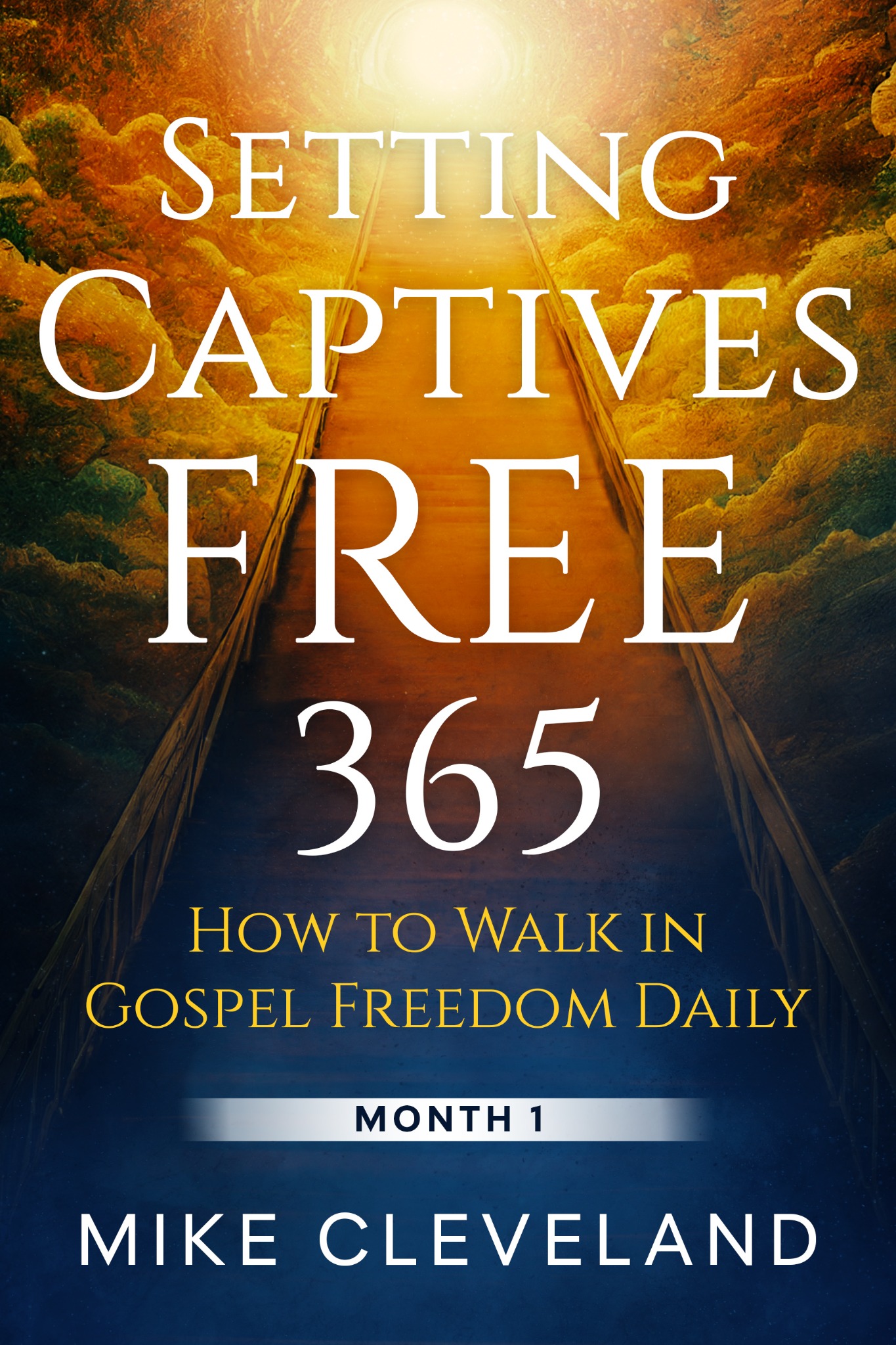 Setting Captives Free 365 book cover