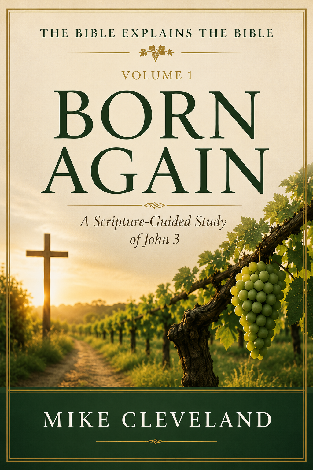 Born Again book cover